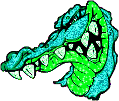 alligator