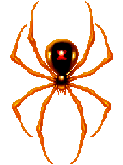 Araignee