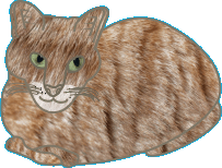 Chats