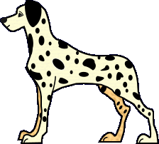 dalmatien
