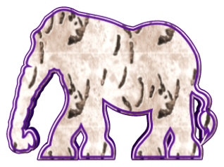 Élephants
