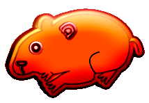 hamsters