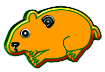 hamsters