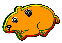 hamsters