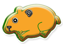 hamsters
