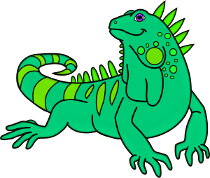 Iguanes