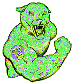 Jaguars
