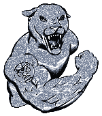 Jaguars