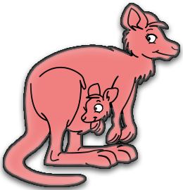 Kangourous