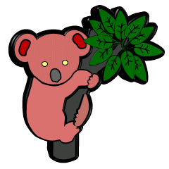 Koalas