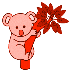 Koalas