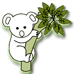 Koalas