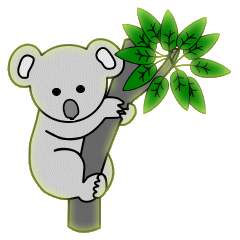 Koalas