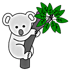 Koalas