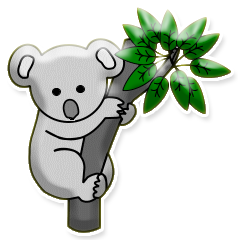 koalas