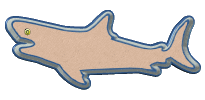 requins