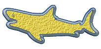 requins