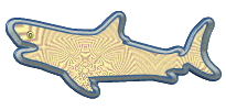 requins