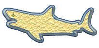 requins