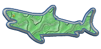 requins