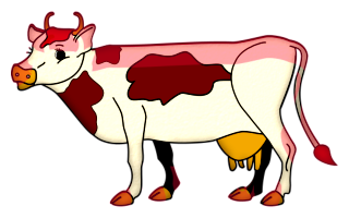 vaches